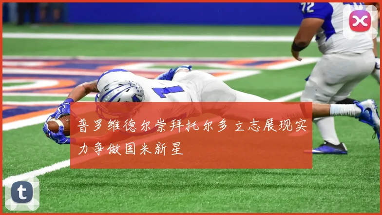 普罗维德尔崇拜托尔多立志展现实力争做国米新星